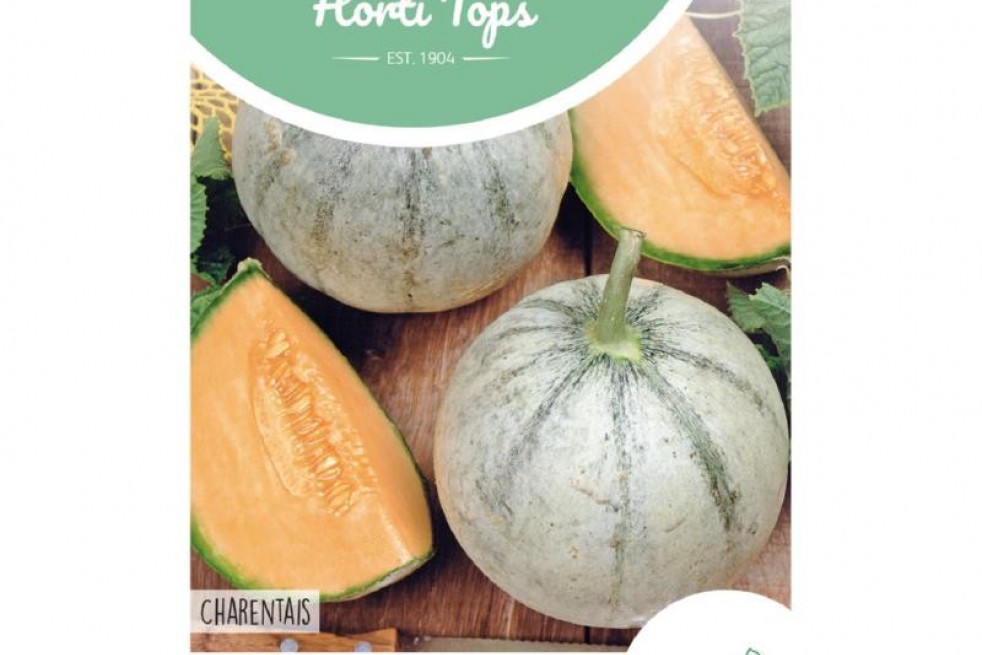 Melon Cantaloup Charentais
