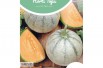 Melon Cantaloup Charentais