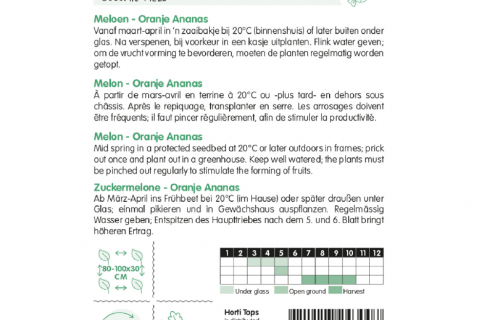 Meloen Oranje Ananas Meloen Oranje Ananas