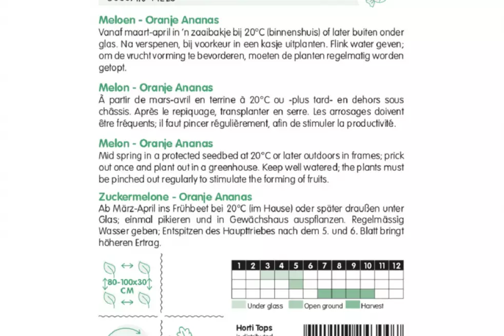 Melon Sweet Ananas