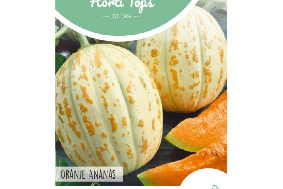 Meloen Oranje Ananas Meloen Oranje Ananas