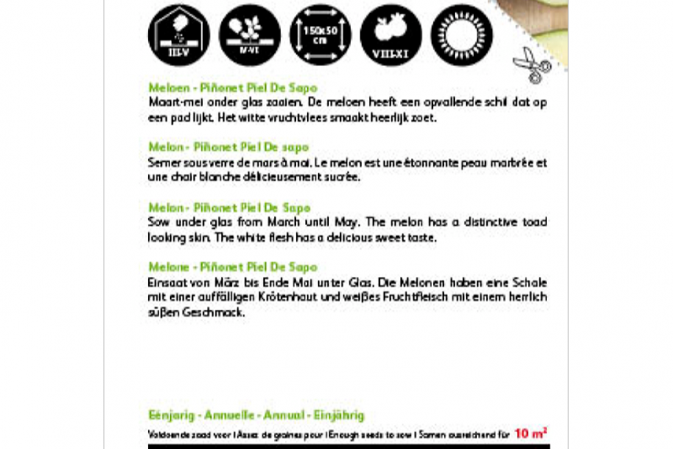 Melon Piel De Sapo Melon Piel De Sapo