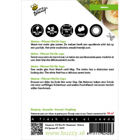 Melon Piñonet Piel De Sapo