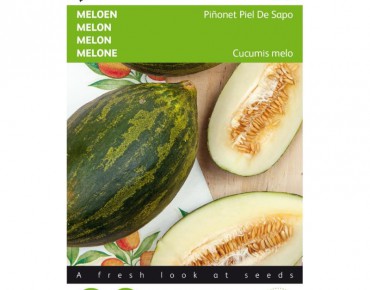 Melon Piñonet Piel De Sapo