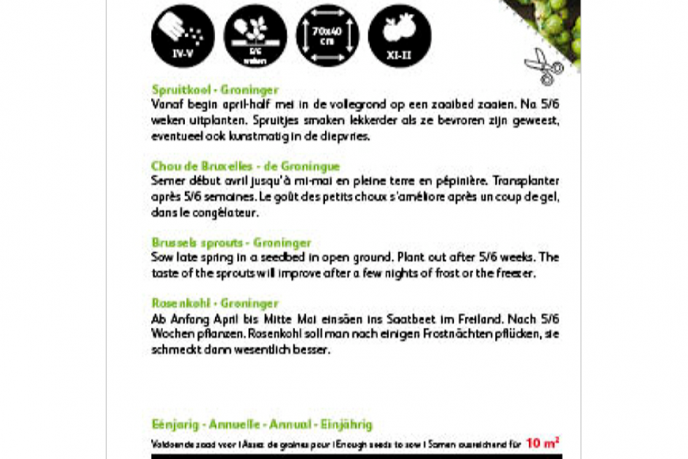Brussels Sprouts Groninger Brussels Sprouts Groninger