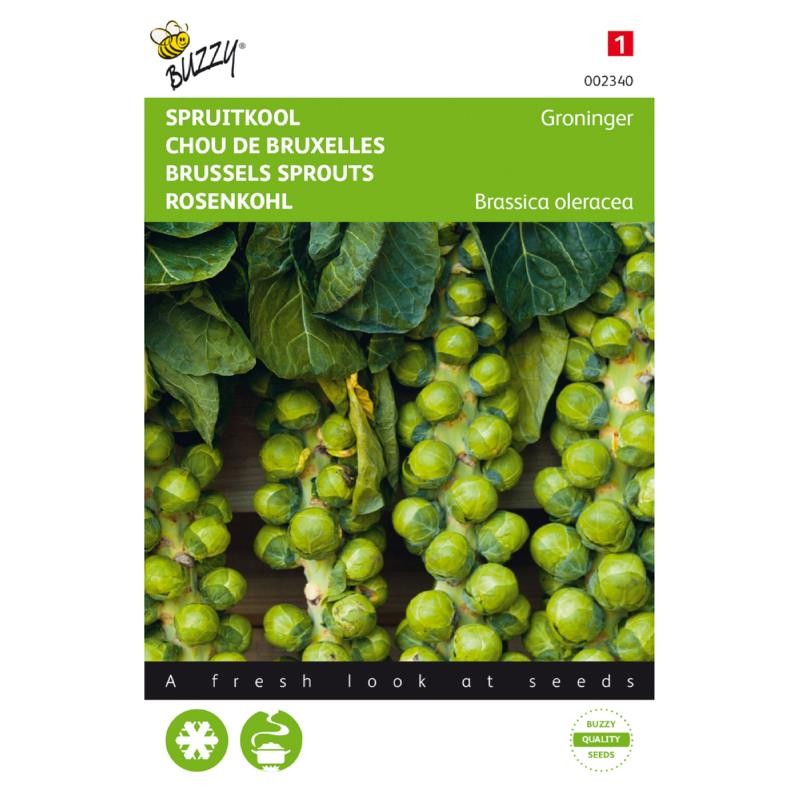 Brussels Sprouts Groninger