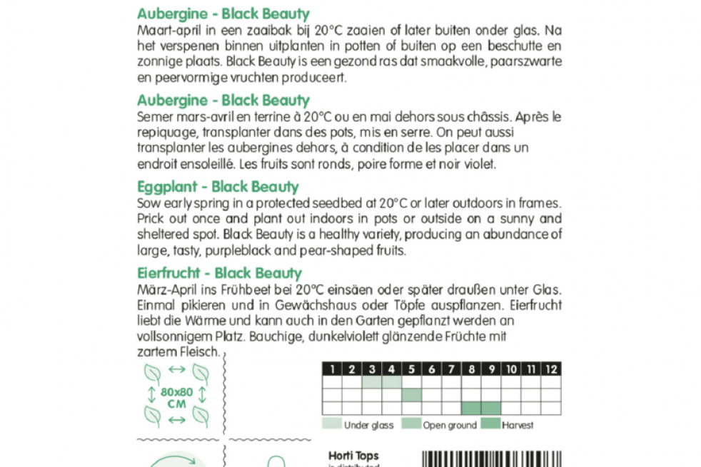 Aubergine ronde Black Beauty Aubergine ronde Black Beauty