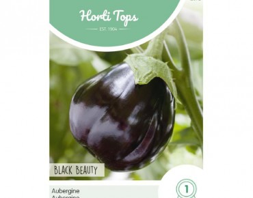 Aubergine ronde Black Beauty