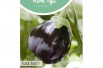 Aubergine Black Beauty