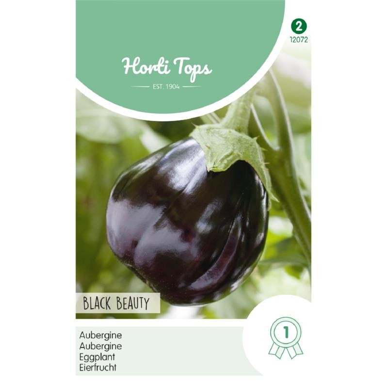 Aubergine Black Beauty