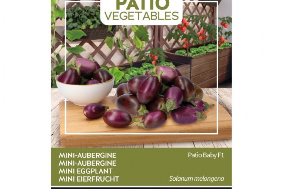 Mini aubergine Patio Baby