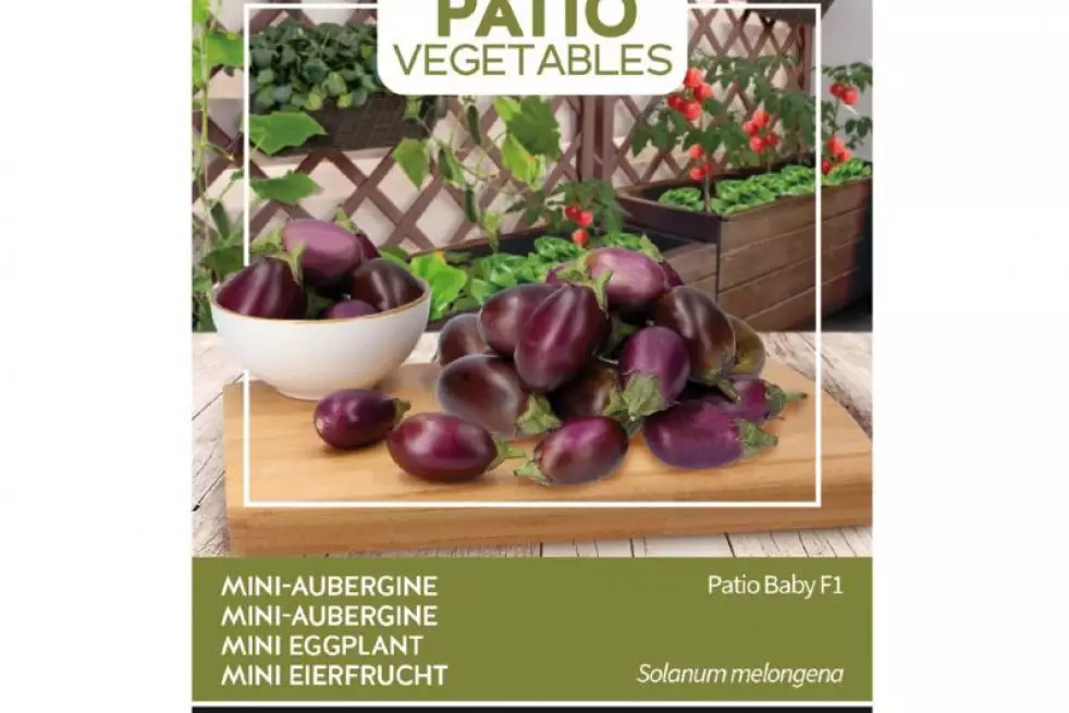 Mini-Eggplant Patio Baby