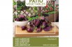 Mini-Eggplant Patio Baby