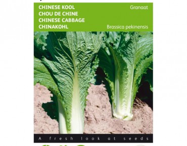 Chinese kool Granaat