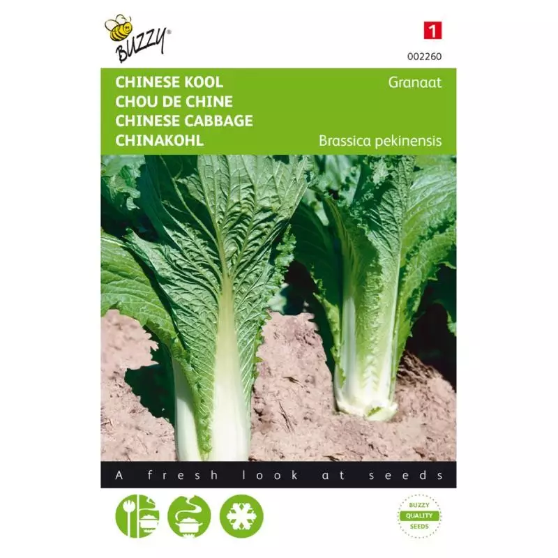 Napa cabbage