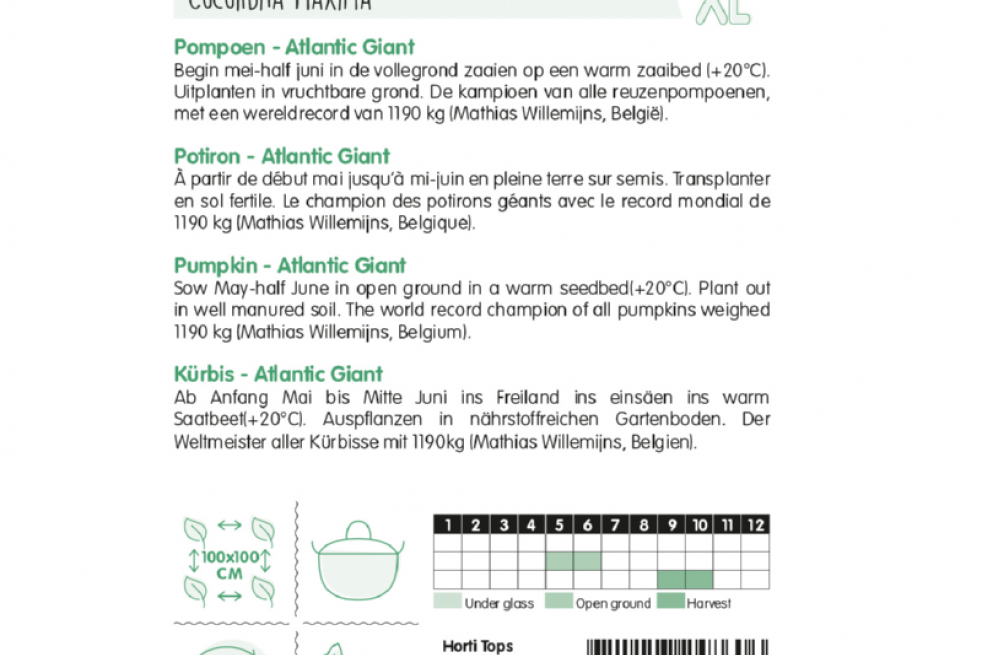 Potiron géant Atlantic Potiron géant Atlantic