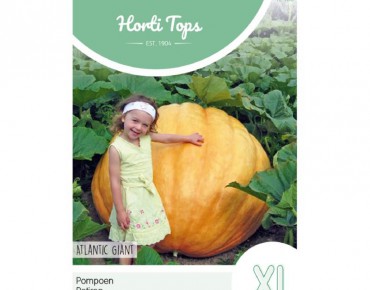 Giant Pumpkin