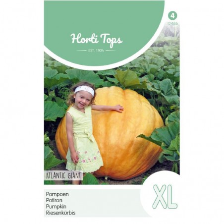 Seeds Giant Pumpkin - Cucurbita maxima Atlantic giant