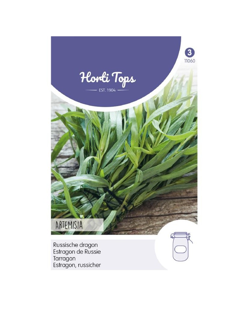 Russian Tarragon Artemisia dracunculus