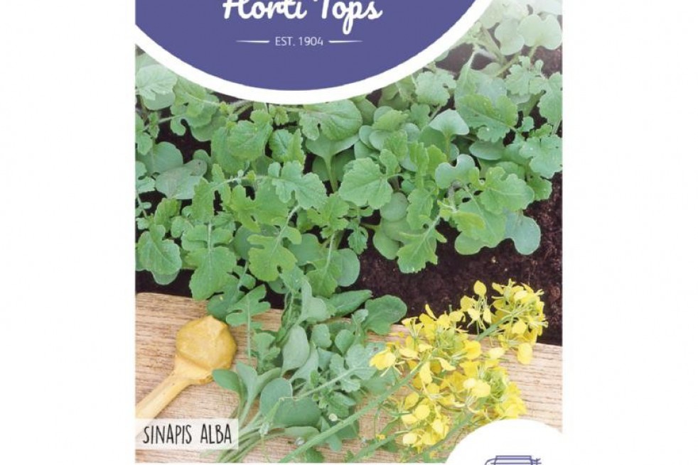 Moutarde blanche Moutarde blanche