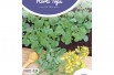 Yellow Mustard