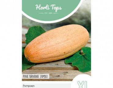 Potiron Pink Banana Jumbo