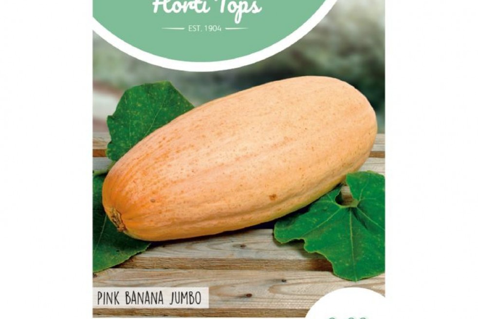 Potiron Pink Banana Jumbo