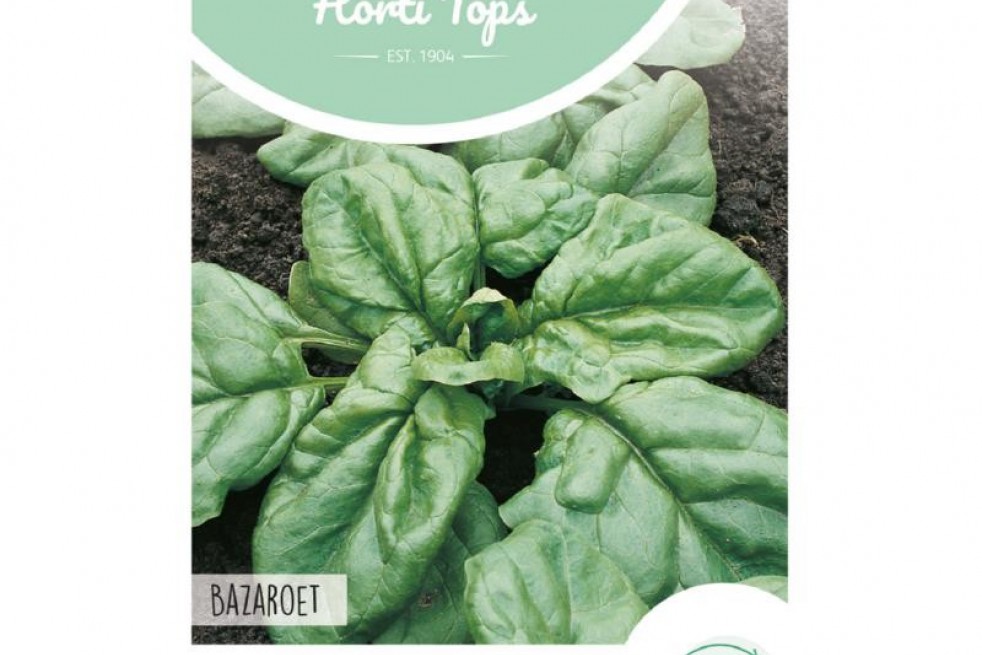 Summer Spinach Bazaroet