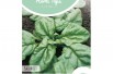 Summer Spinach Bazaroet Summer Spinach Bazaroet