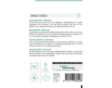 Summer Spinach Bazaroet