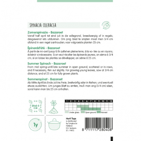 Summer Spinach Bazaroet