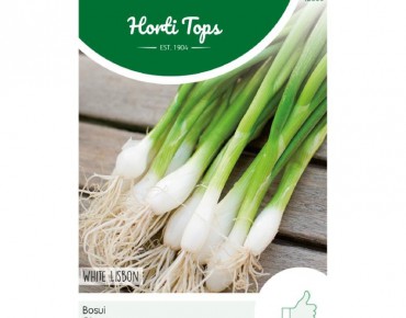 Spring Onion White Lisbon