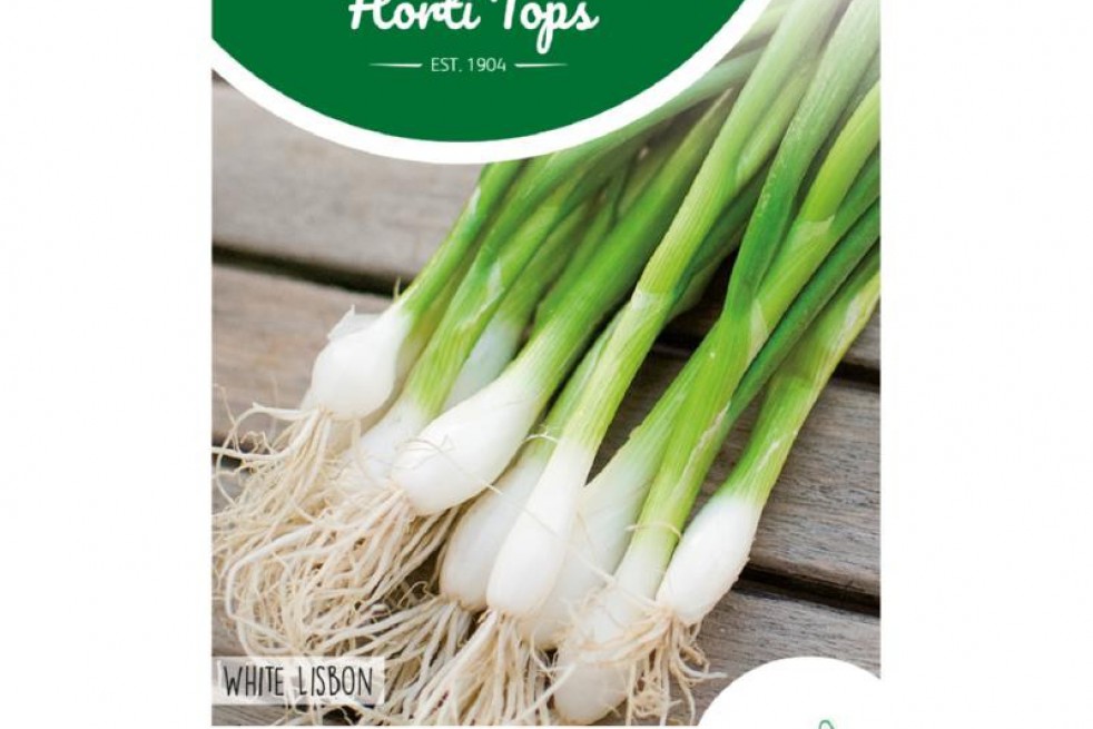 Spring Onion White Lisbon