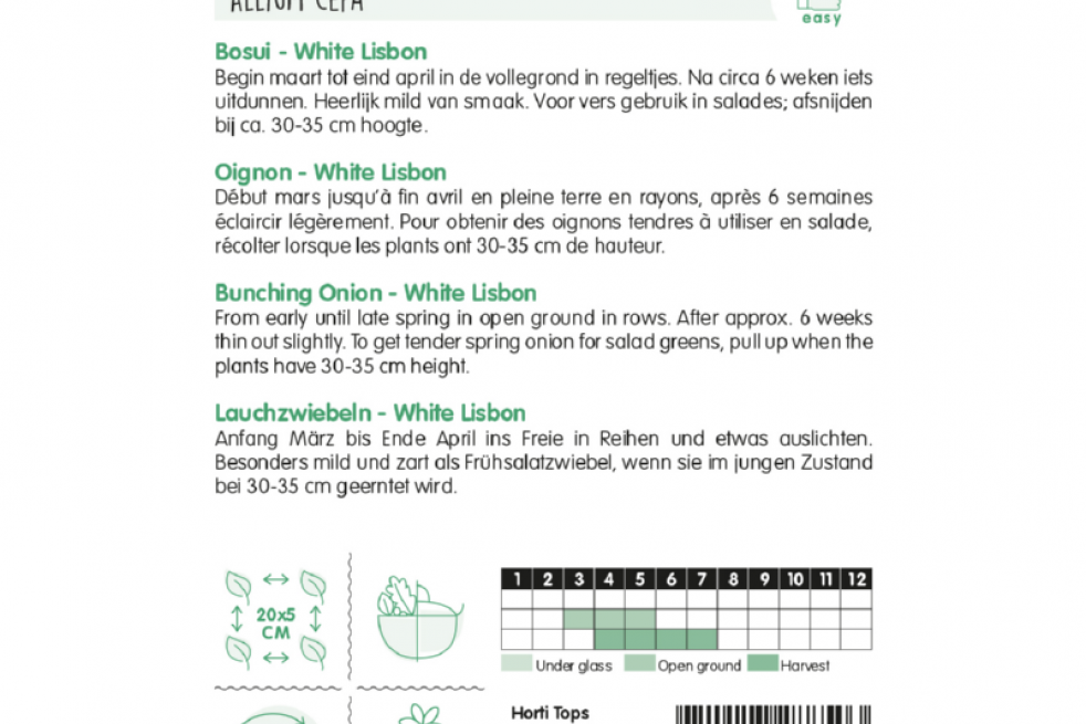 Spring Onion White Lisbon Spring Onion White Lisbon