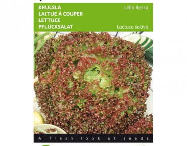 Laitue frisée lollo Rossa BIO