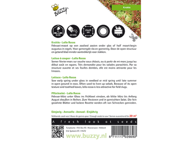 Laitue frisée lollo Rossa BIO