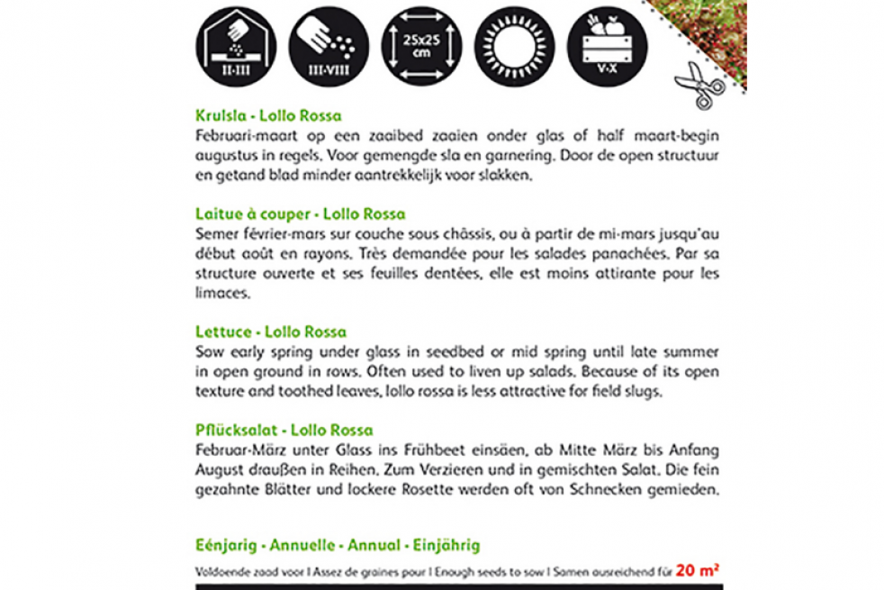 Laitue frisée lollo Rossa BIO