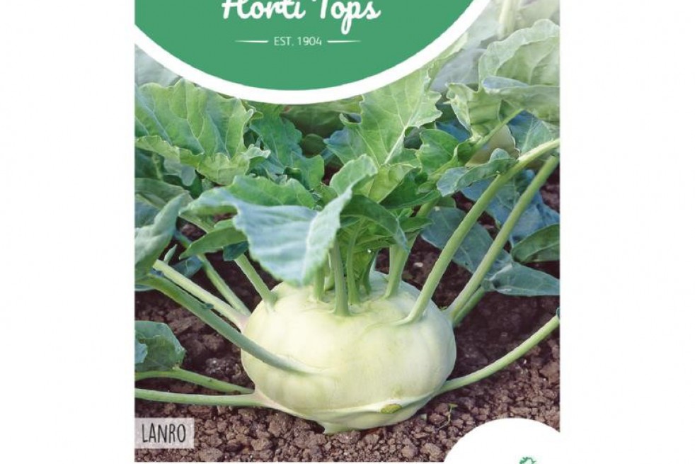 Chou-rave Lanro Chou-rave Lanro