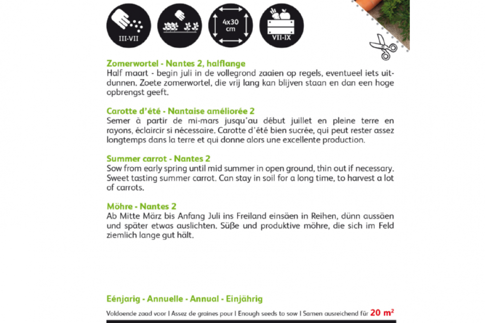 Zomerwortel Nantes Zomerwortel Nantes