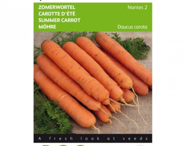 Summer carrot Nantes