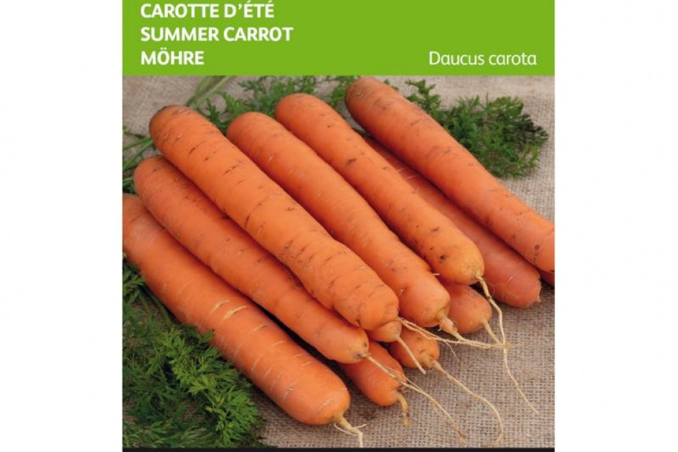 Summer carrot Nantes