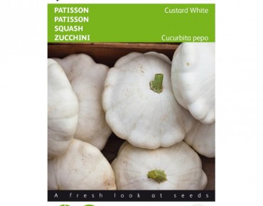 Patisson Custard White