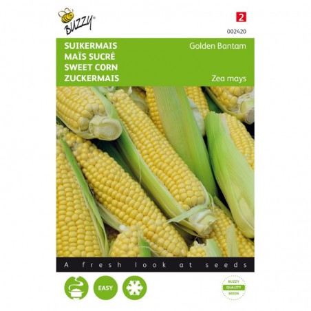 Samen Zuckermais Golden Bantam - Zea mays