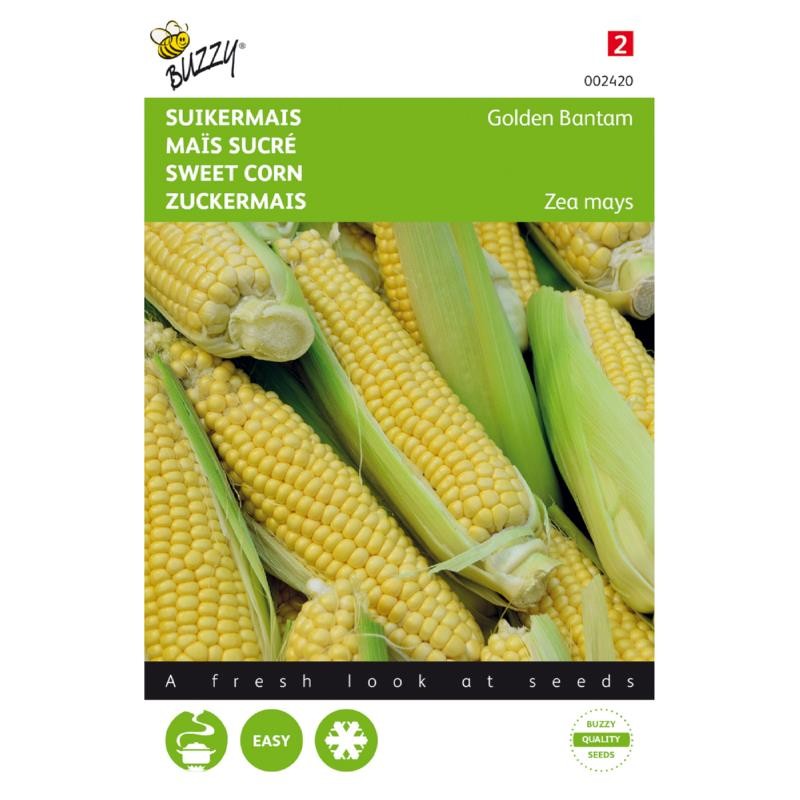 Zuckermais Golden Bantam