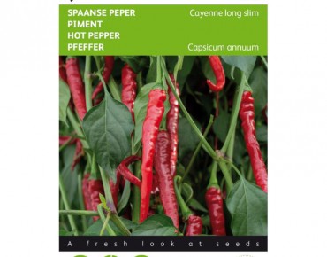 Piment de cayenne long slim