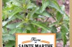 Thé des jardins