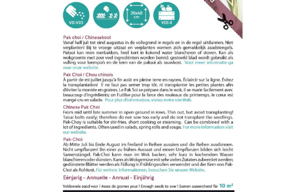 Pak choi Canton Pak choi Canton