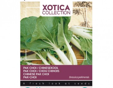 Pak choi Canton