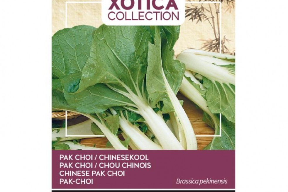 Pak choi Canton