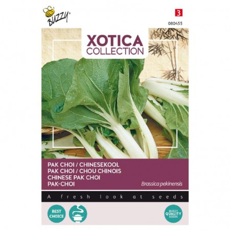 Seeds Chinese Pak Choi - Brassica rapa subsp. Chinensis